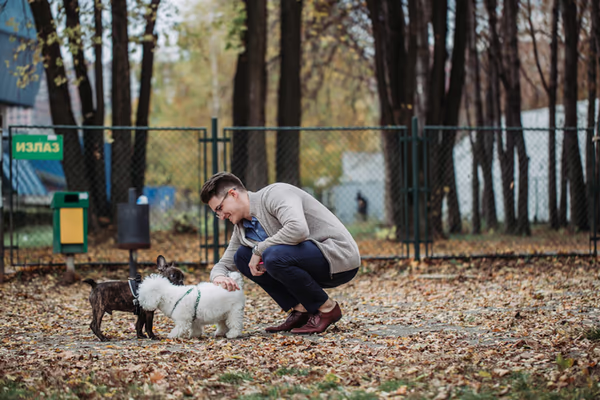 Santa Fe Animal Shelter Dog Park photo 1